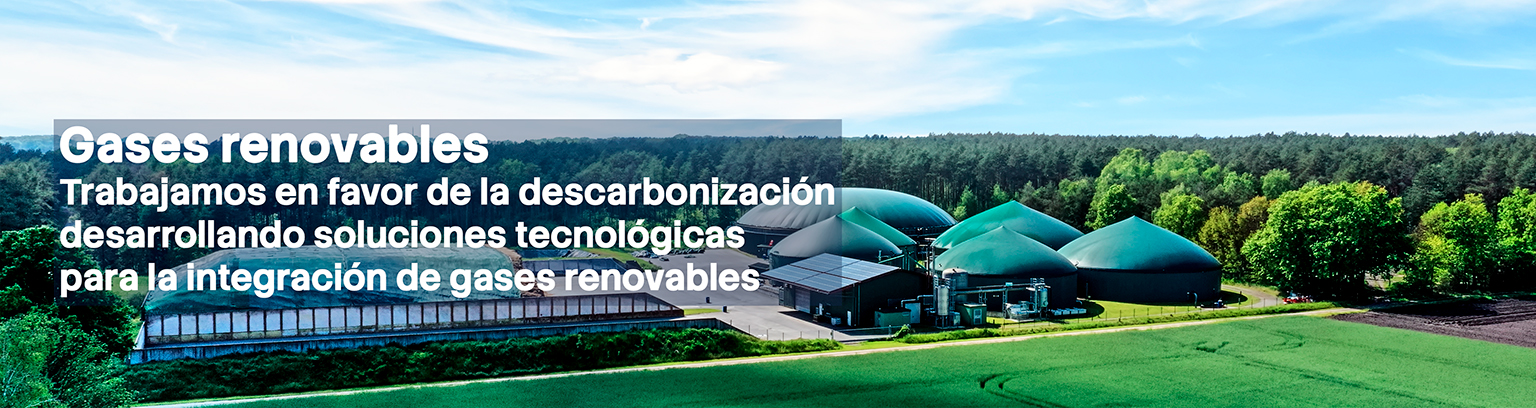 Gases Renovables