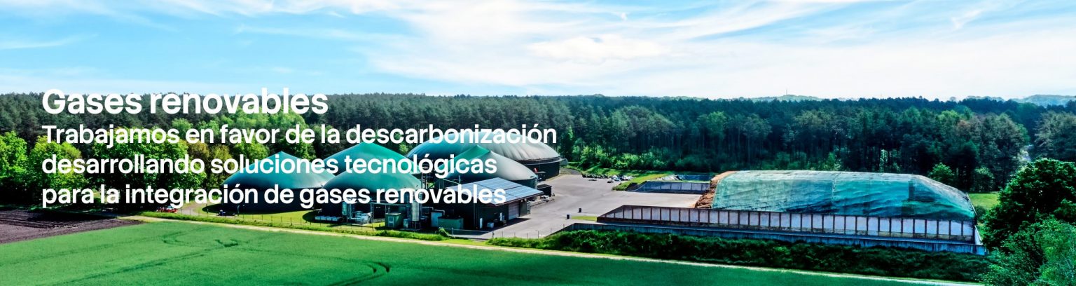 Gases renovables